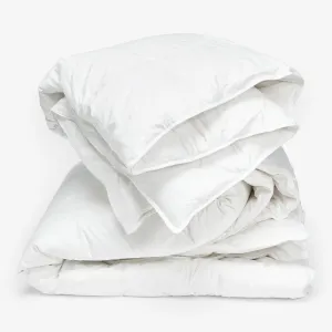 Harmony Comforters