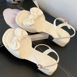 Hnzxzm Summer 2024 Square Heels Sandals for Woman Party and Weddings Footwear Open Toe Women's Shoes Beach Chunky Block Heel Thick
