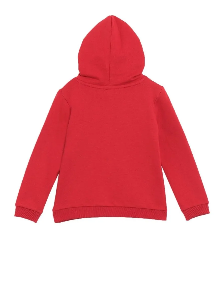 Hooded Sweatshirt Combo of 3-Little Monster-Little Surfer-My Little Lion