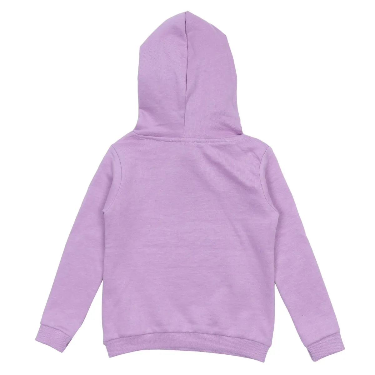 Hooded Sweatshirt Combo of 3-Little Monster-Little Surfer-My Little Lion