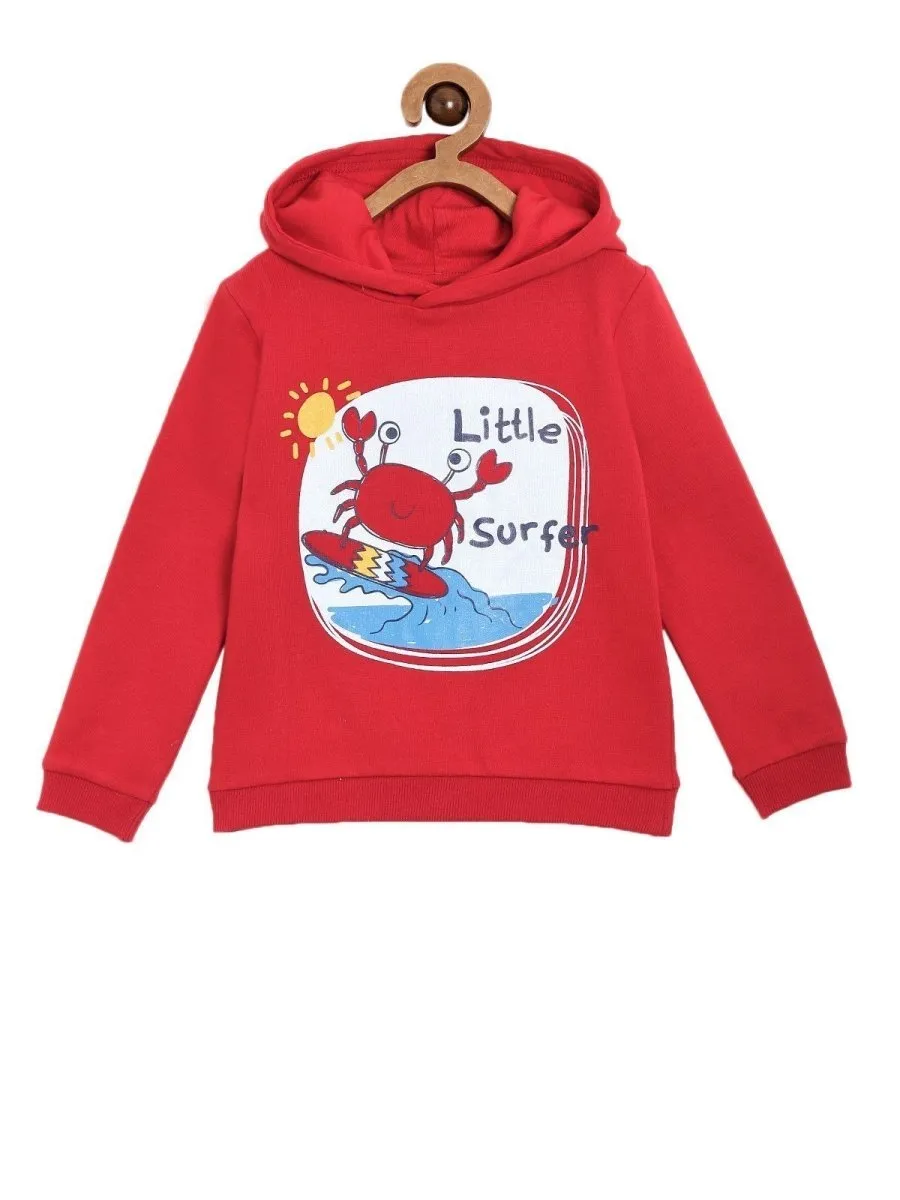 Hooded Sweatshirt Combo of 3-Little Monster-Little Surfer-My Little Lion