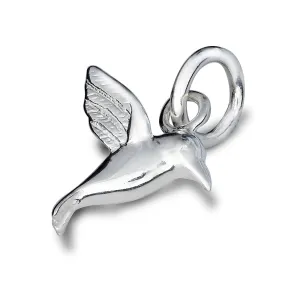 Hummingbird Silver Charm