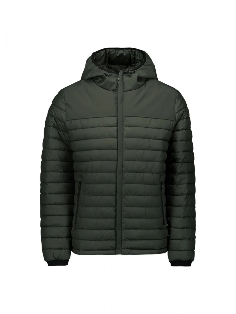 Jacket Hooded Short Fit Padded Mix | Dark Green
