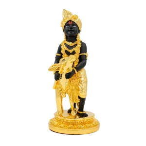Krishna Idol PIDRBKR6-009