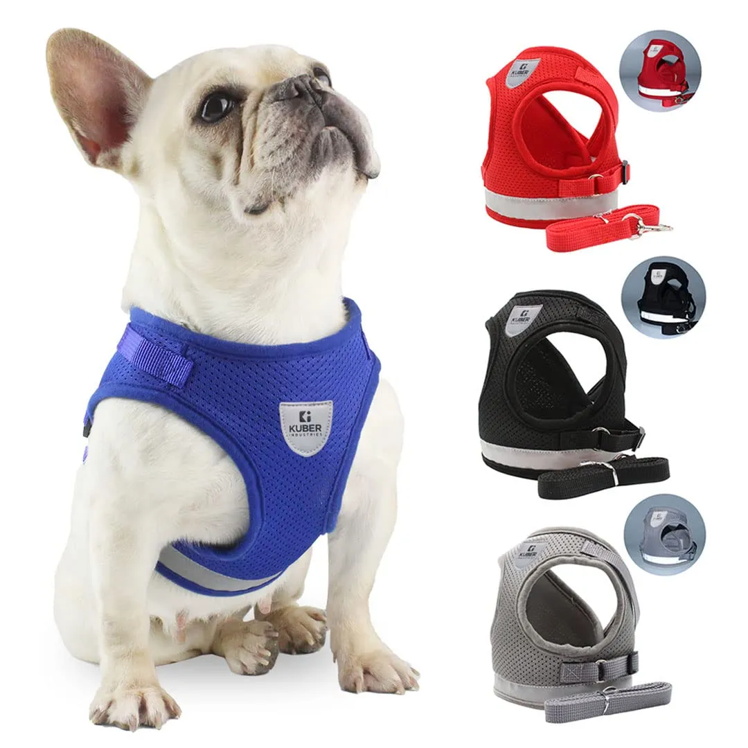 Kuber Industries Dog Chest Harness with Nylon Leash I No Pull, Soft Padded and Breathable Dog Vest I Adjustable, Reflective I Easy Control Dog Chest Belt I (Small, Grey)
