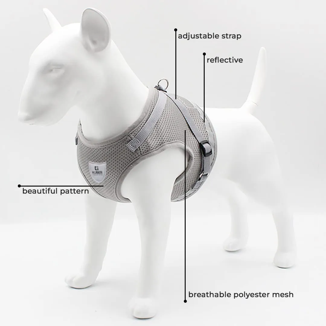 Kuber Industries Dog Chest Harness with Nylon Leash I No Pull, Soft Padded and Breathable Dog Vest I Adjustable, Reflective I Easy Control Dog Chest Belt I (Small, Grey)