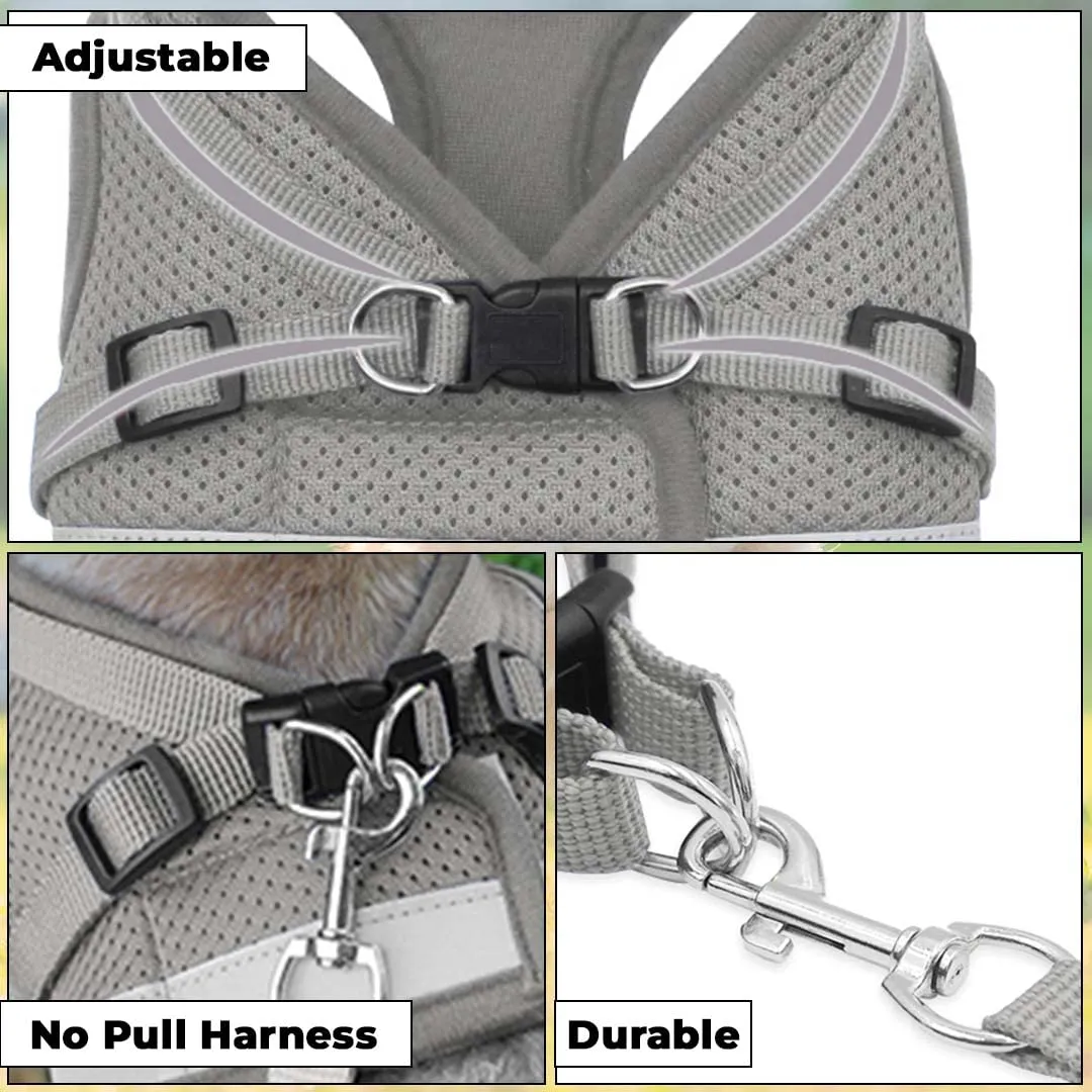 Kuber Industries Dog Chest Harness with Nylon Leash I No Pull, Soft Padded and Breathable Dog Vest I Adjustable, Reflective I Easy Control Dog Chest Belt I (Small, Grey)
