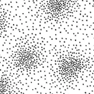 Laurel Burch Basic Confetti - Black