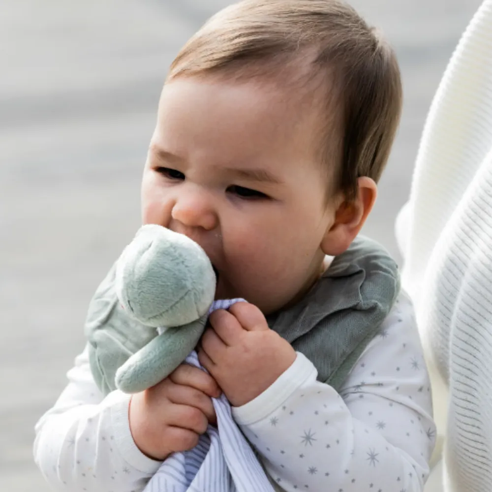 Little Linen Little Bamboo Lovie Comforter Freddie Frog