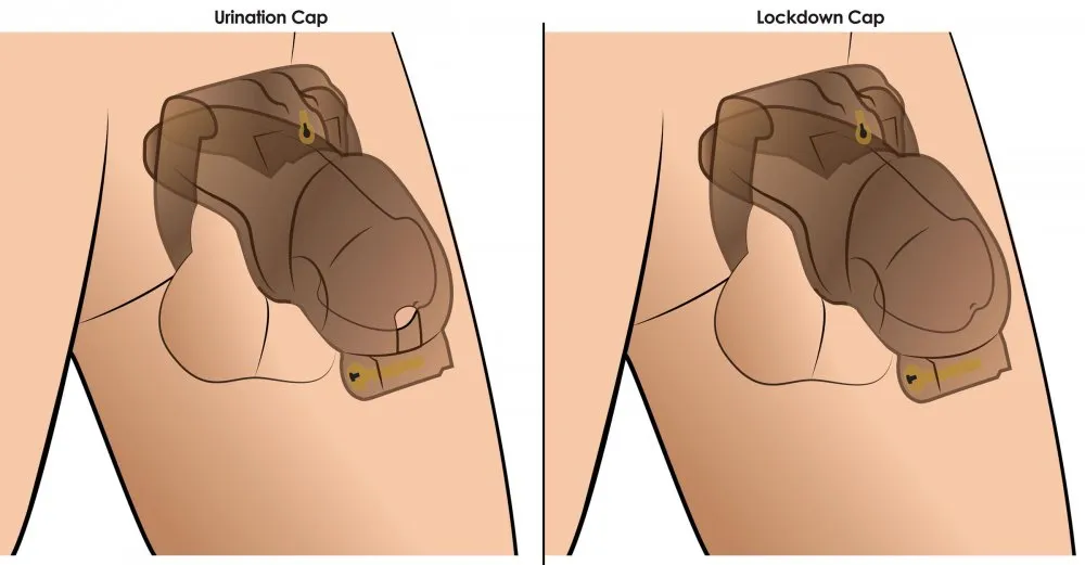 Lockdown Customizable Chastity Cage