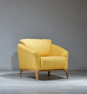 Luxurious Lounge Elegance Chair