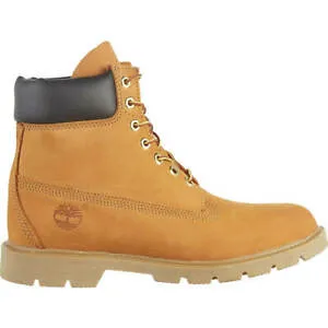 Men's 6 In Basic Boots