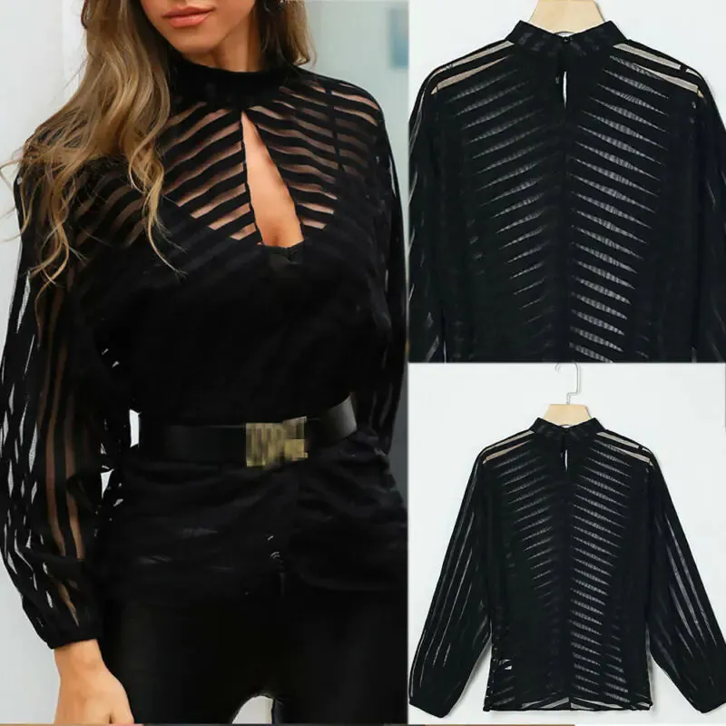 Mesh Net Long Sleeve Blouse^