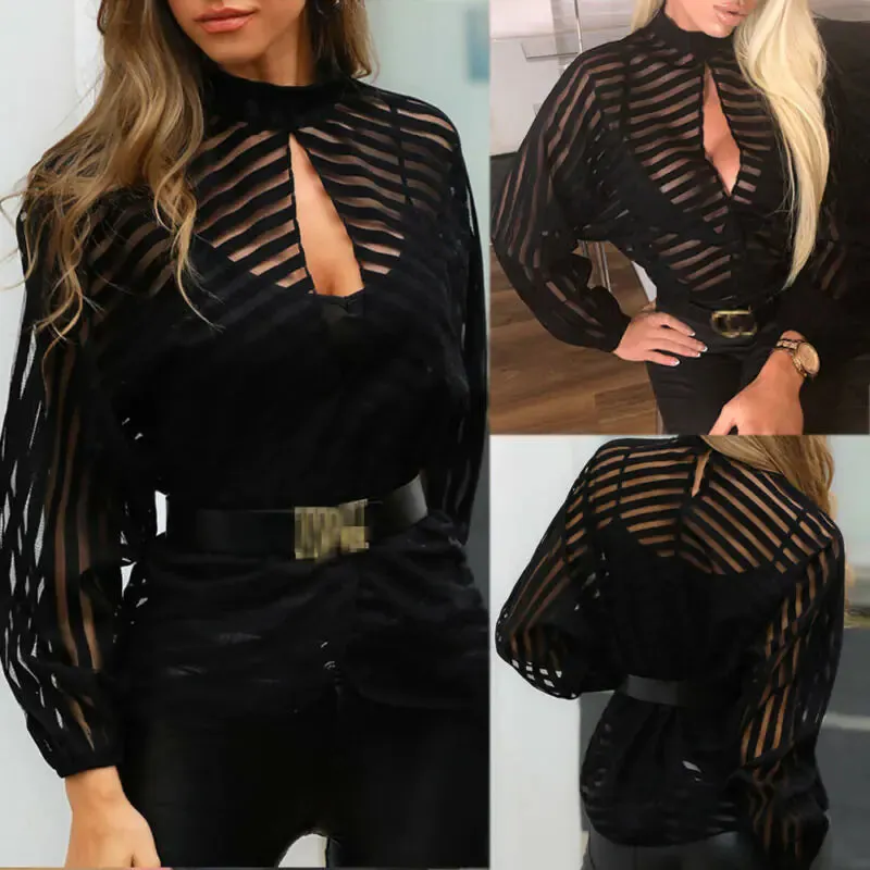 Mesh Net Long Sleeve Blouse^