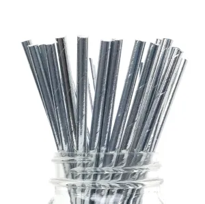 Metallic Silver Straws - 24 Pkt