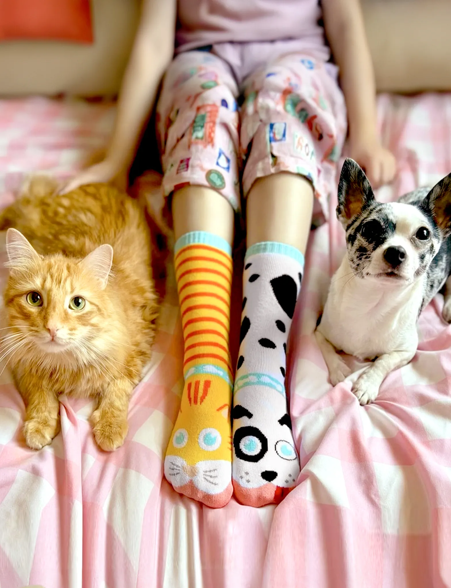 Mismatched Cat and Dog Socks: A Purrfect Pair - Adults