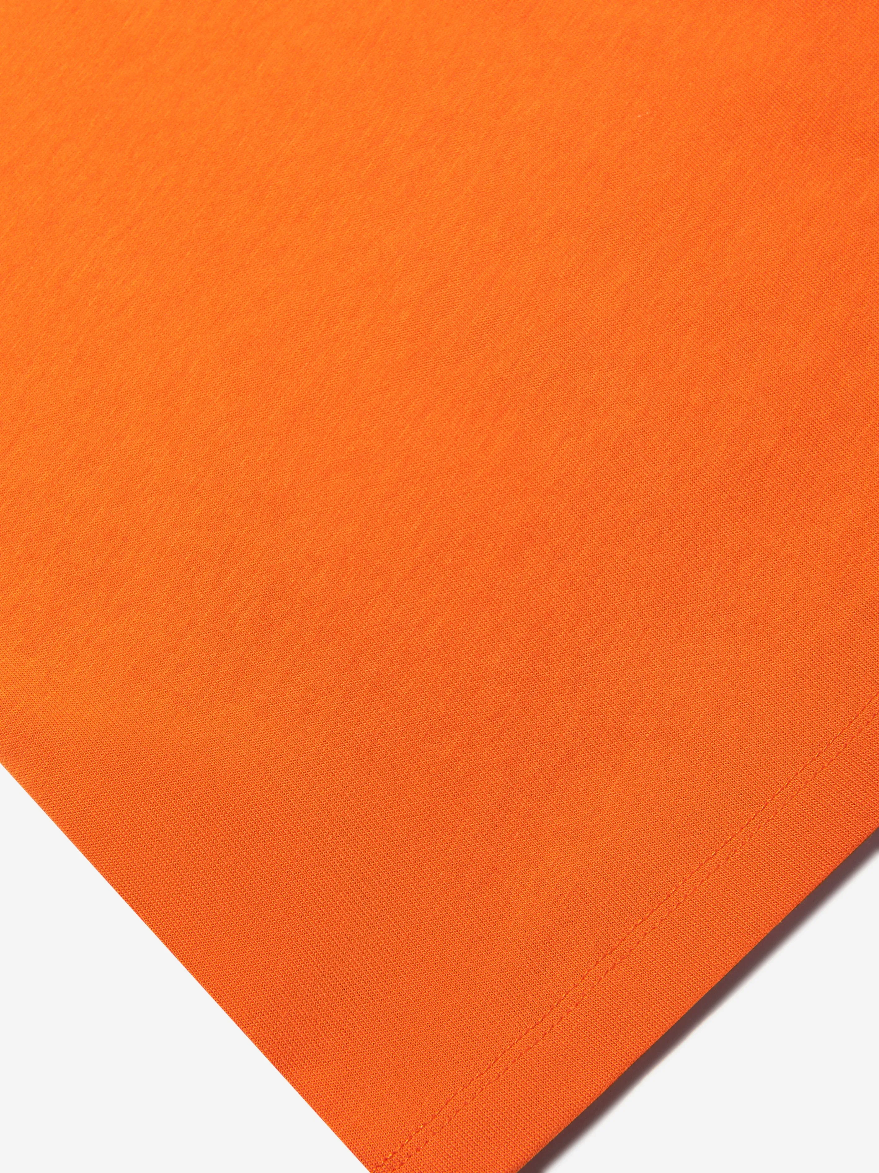 Molo Boys Dino Lake T-Shirt in Orange