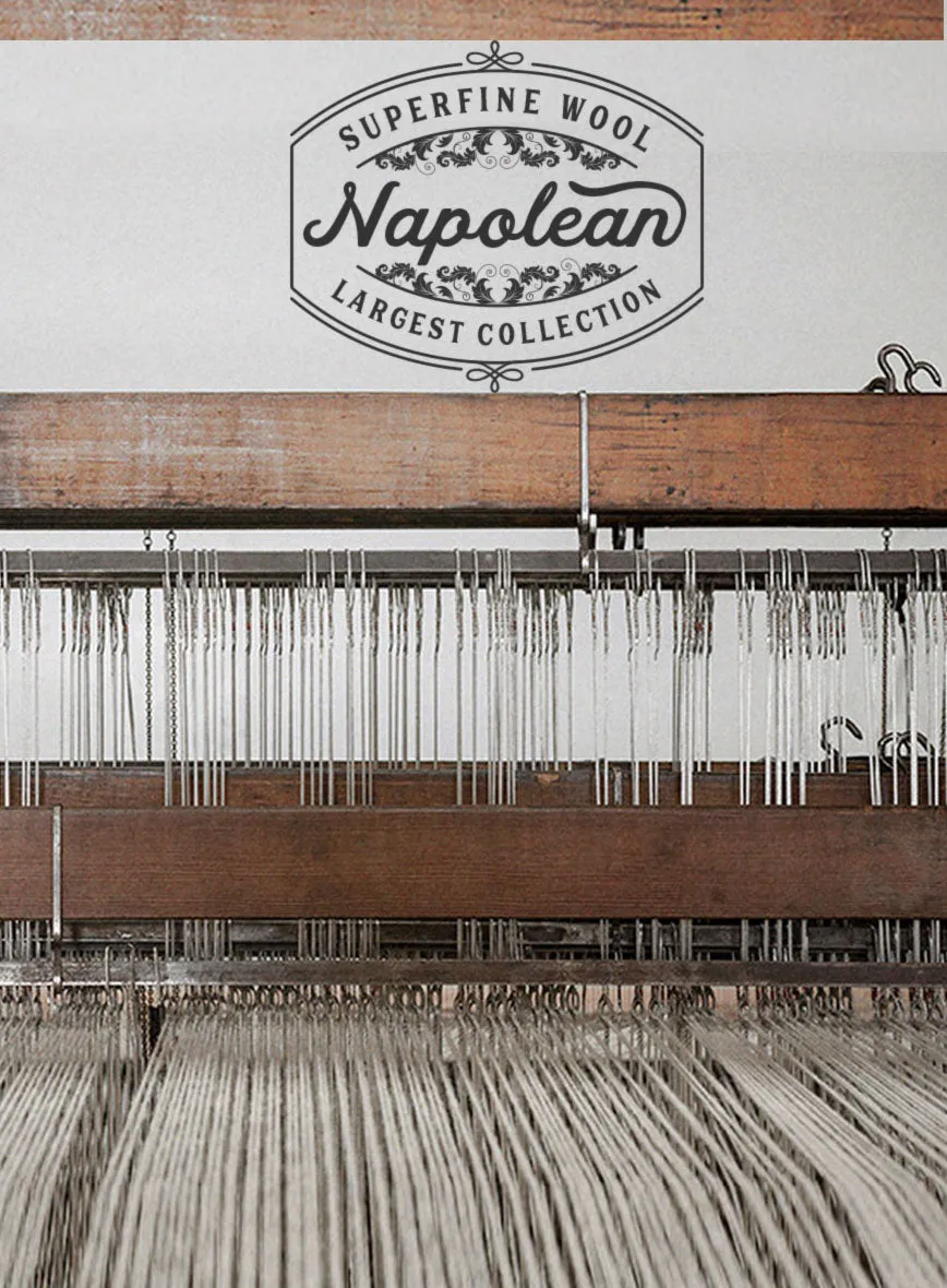 Napolean Kara Stripe Gray Wool Pants