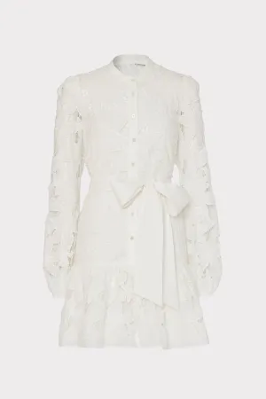 Nellie Floral Embroidered Lace Dress