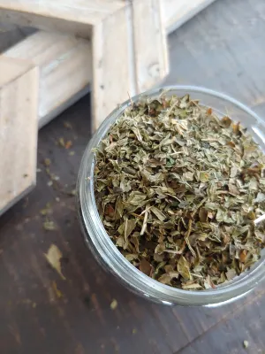 Nettle'Mint Tea ll Organic Herbs