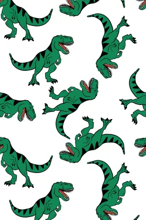 Organic Swaddle Blanket Dinosaurs