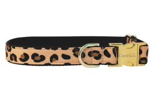 Party Animal Dog Collar - Two Styles!