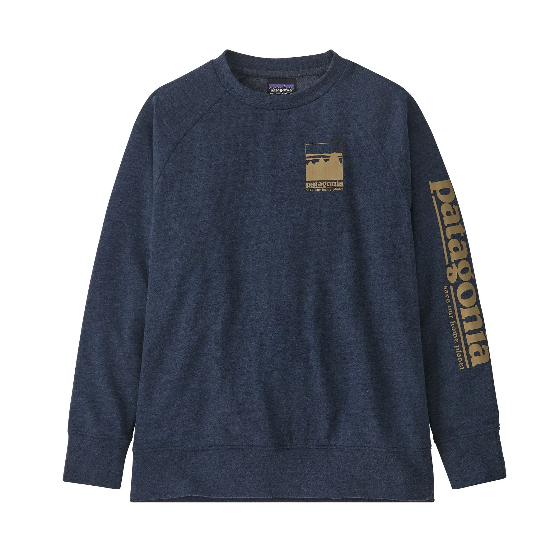 Patagonia Kids Lightweight Crew Sweatshirt