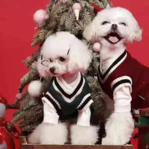 Pet Knitwear Pullover Clothes