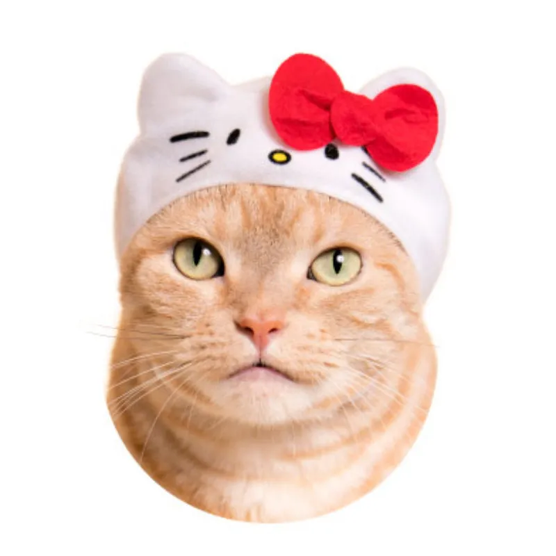 Pets Hat Headwear SK414
