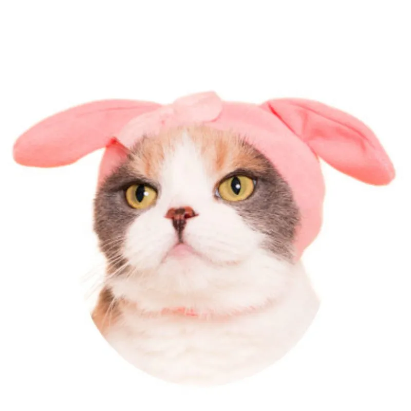 Pets Hat Headwear SK414