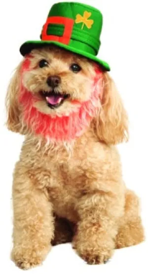 Pets St. Patty's Day Costume Hat with Beard