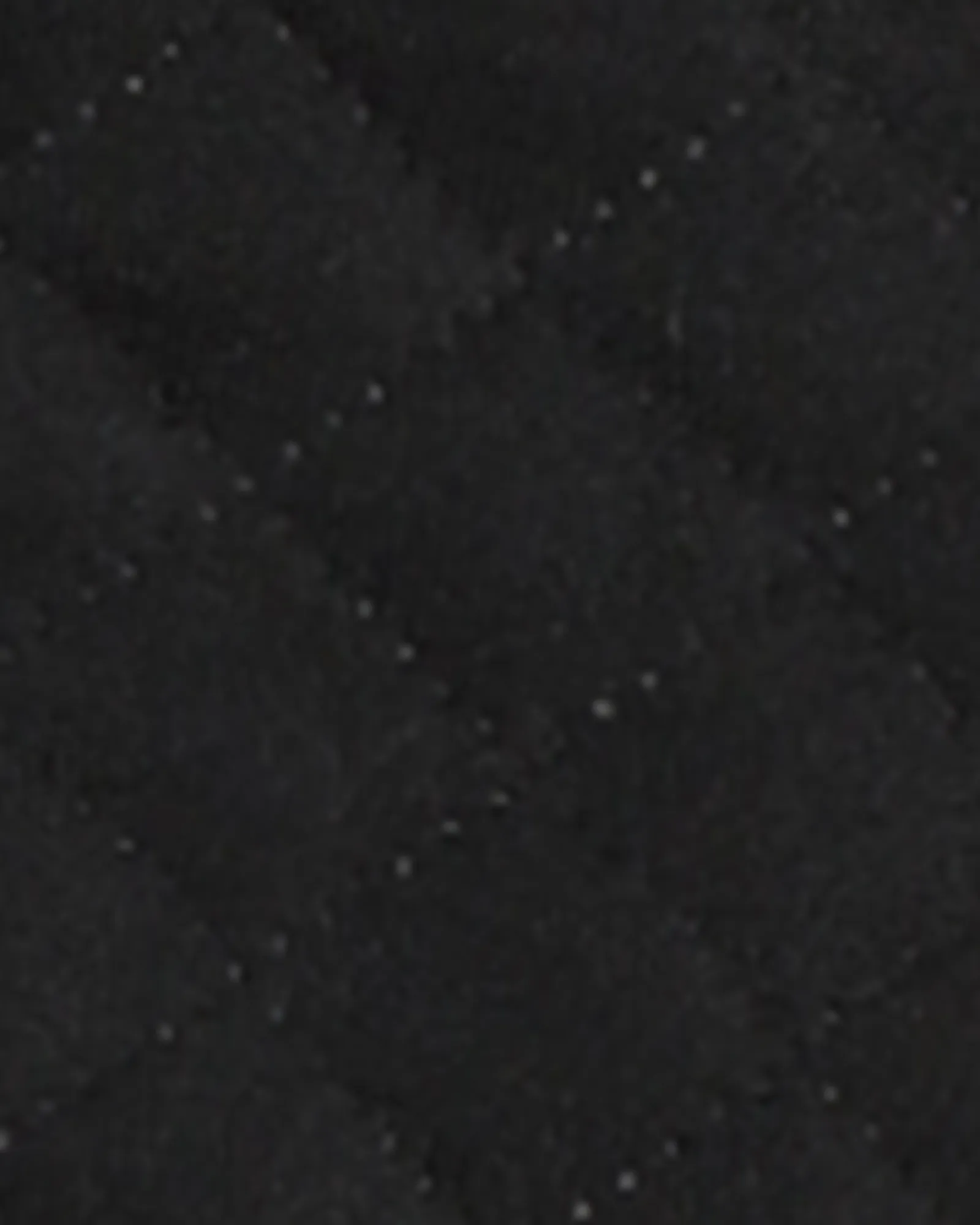 Primrose Quilted Hooded Jacket | Black