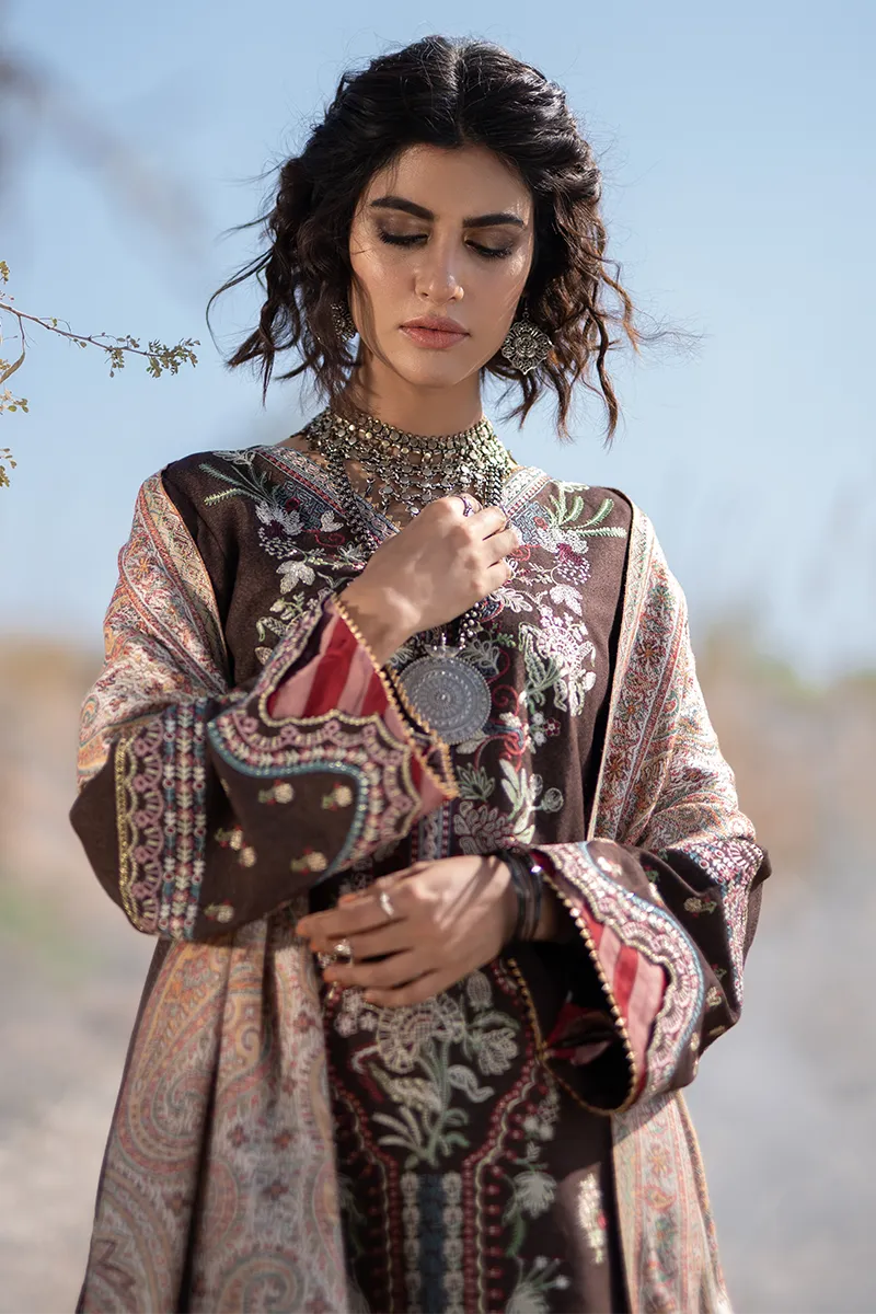 Qalamkar Luxury Winter Collection (with Shawl) 2020 – KS-04