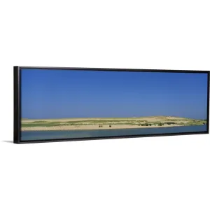 "Beach viewed from the ocean, Cape Cod, Massachusetts" Black Float Frame Canvas Art