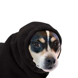 Rat Terrier Hood
