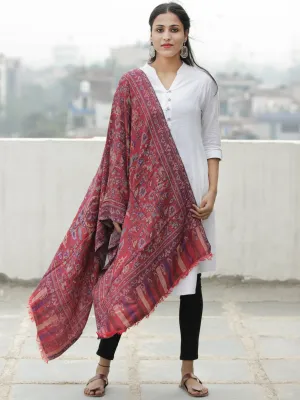 Red Blue Kaani Weaved Modal Silk Wool Kashmiri Stole - S200619