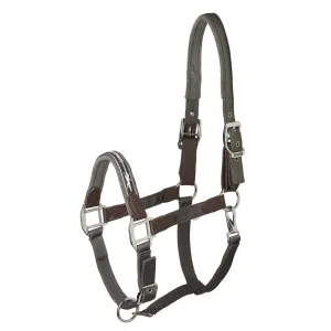 Schockemohle Memphis Safety Headcollar