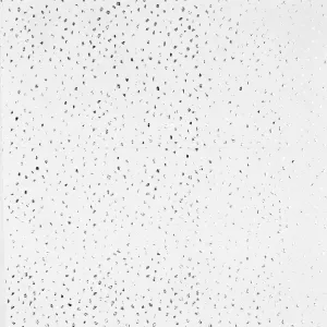 Silver Tissue - Reflection