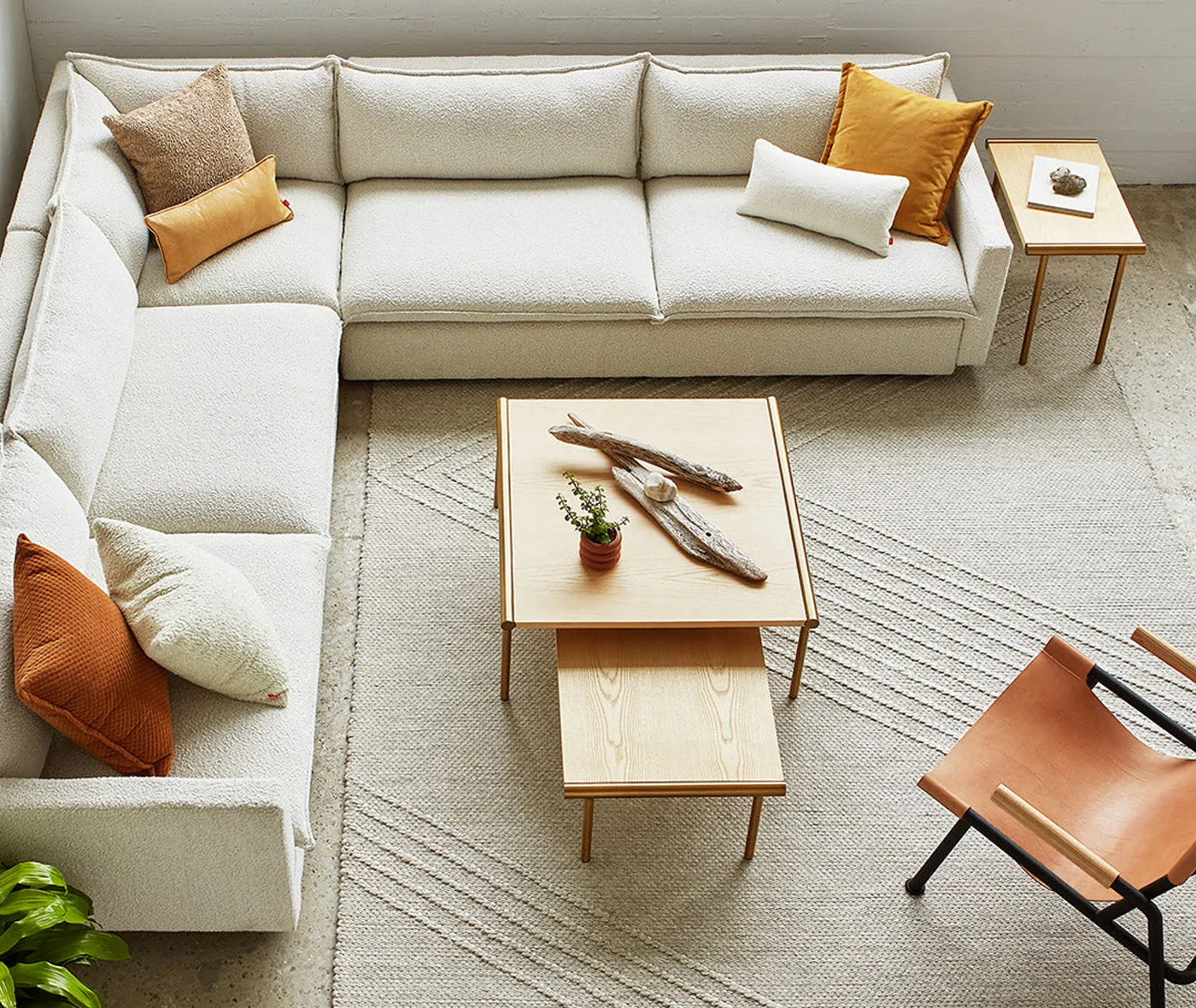 Sola Bi-Sectional - More Options