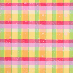 Speckled Bright Plaid