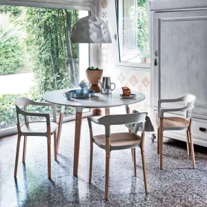 Steelwood Style Chair