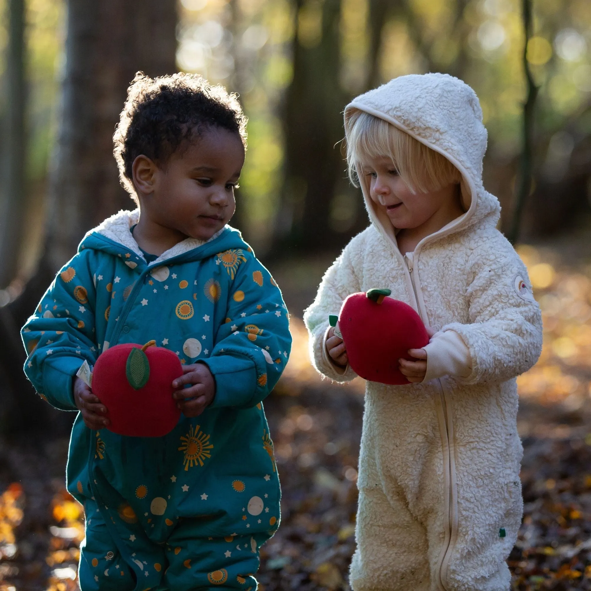 Sun & The Stars Sherpa Lined Snowsuit