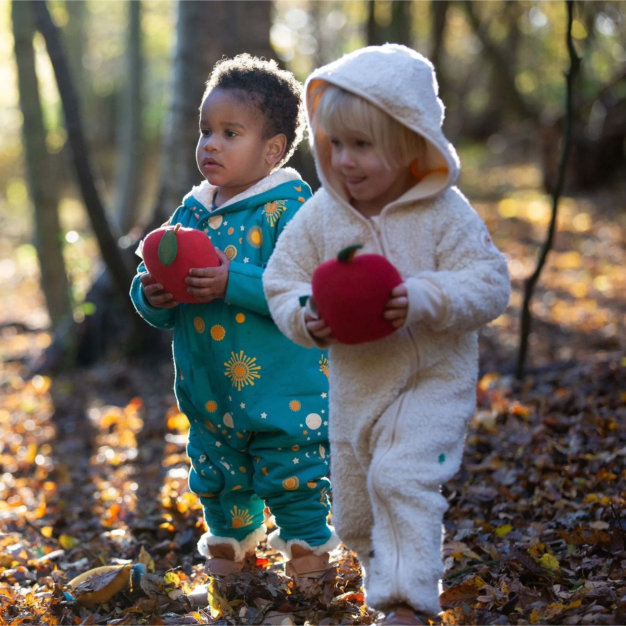 Sun & The Stars Sherpa Lined Snowsuit