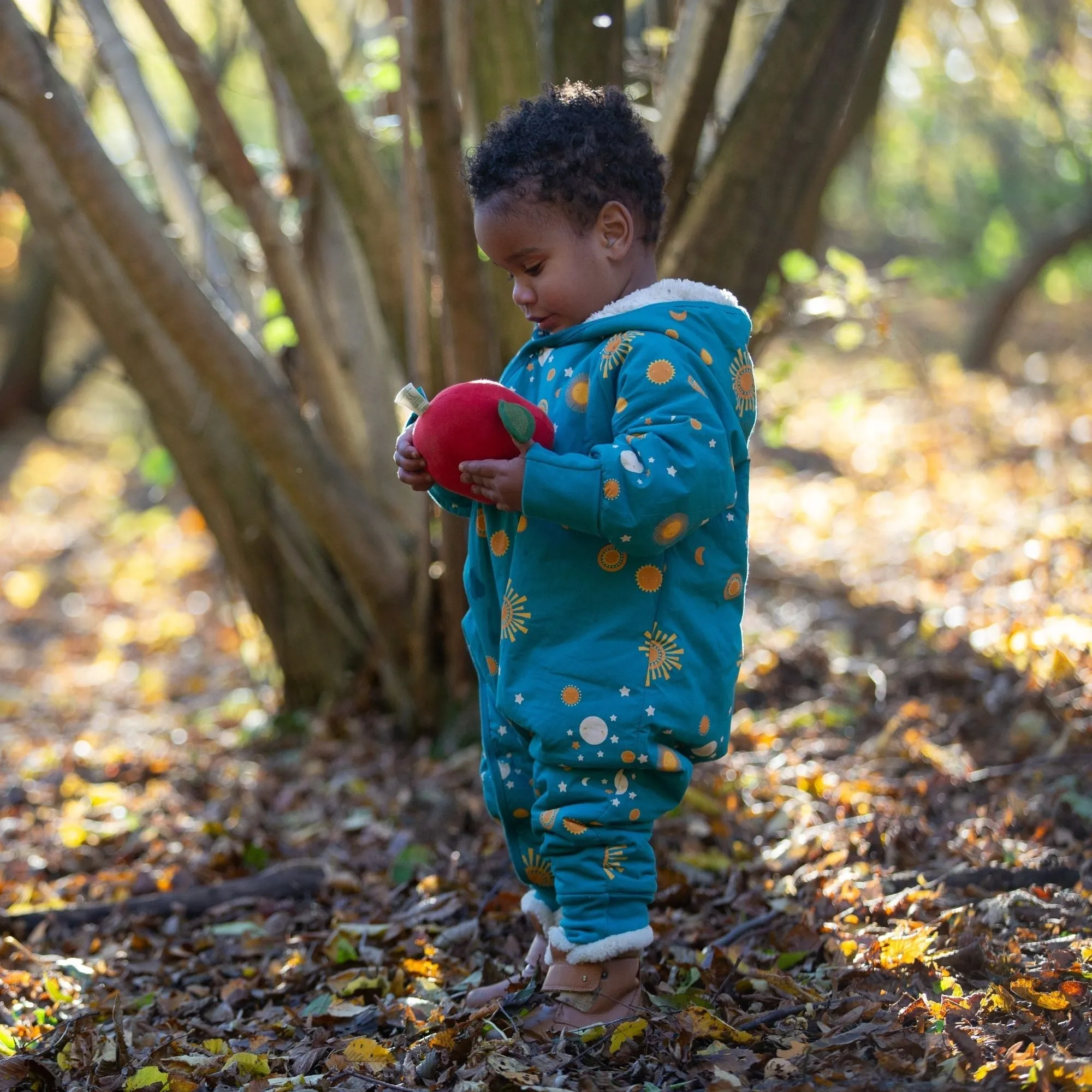 Sun & The Stars Sherpa Lined Snowsuit