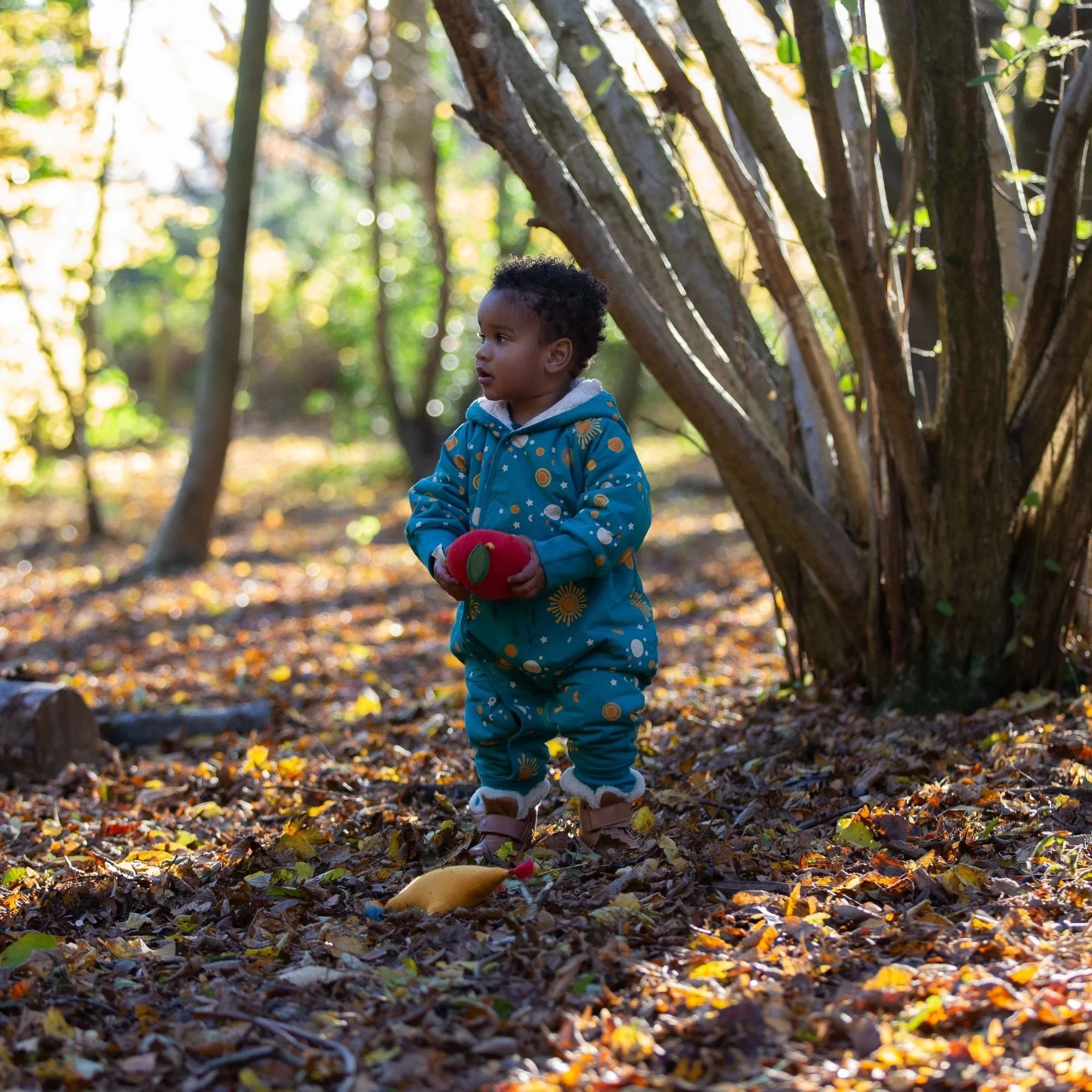 Sun & The Stars Sherpa Lined Snowsuit