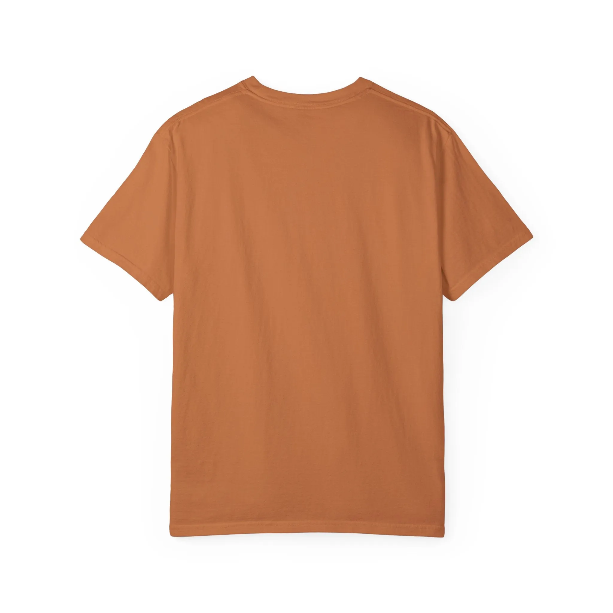 T-shirt Regular Santa Claus en Dinosaurios/T-shirt divertida/Navidad