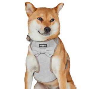 Textured Tweed Dog Harness Vest
