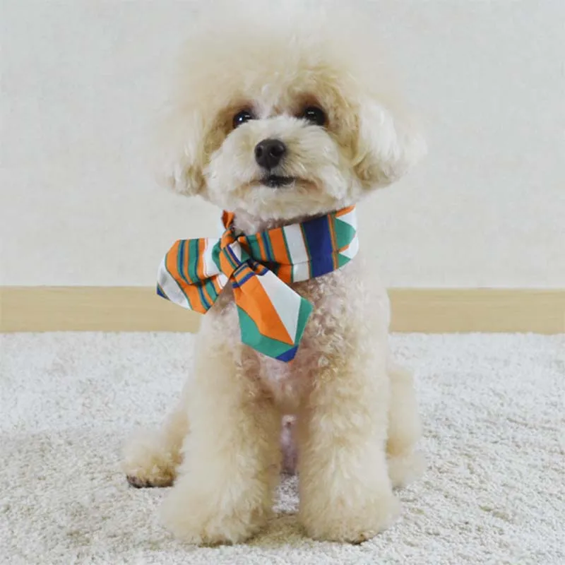 Twilly Scarf for Dogs / Cats - Orange