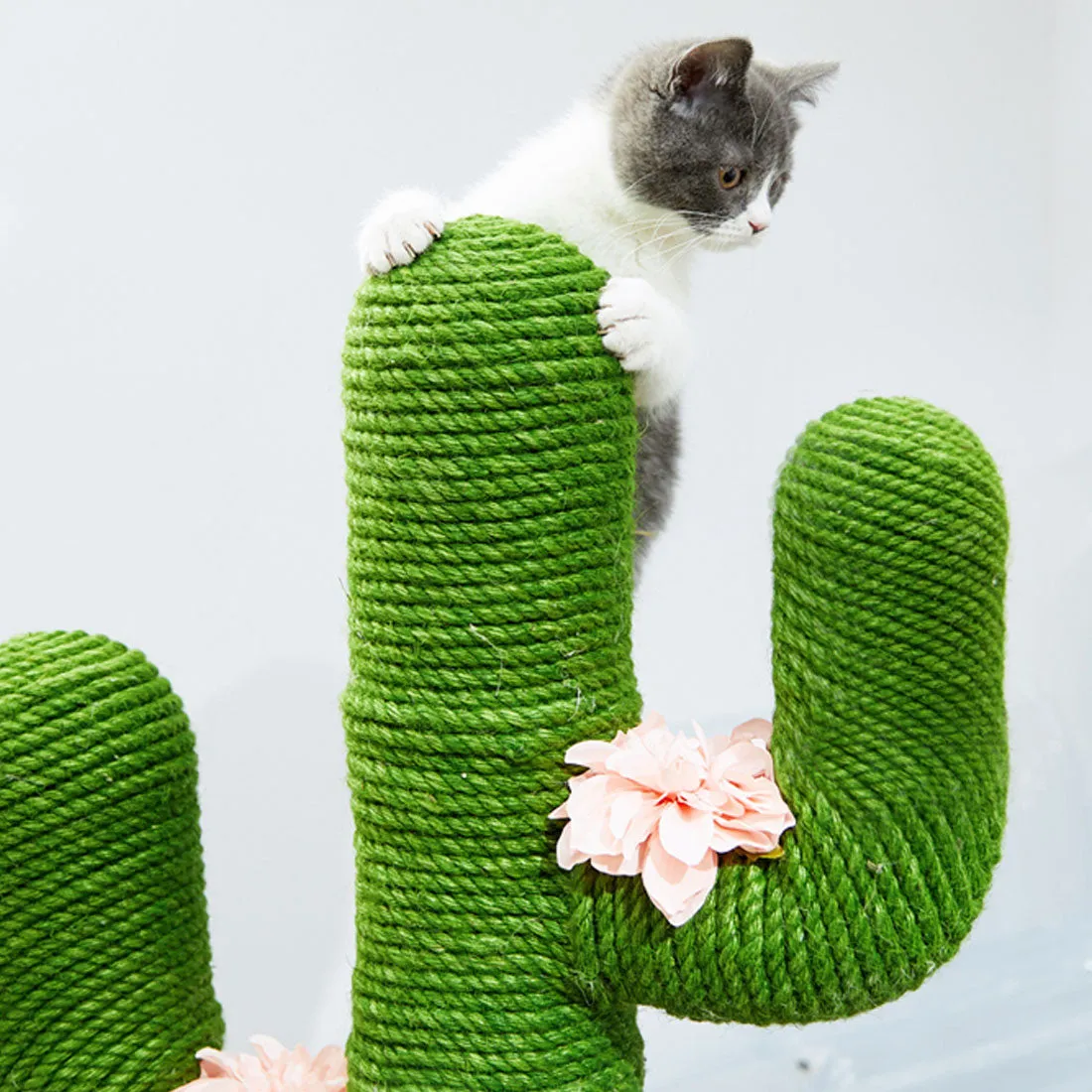 Vetreska Cat Kitten Oasis Cactus Scratcher Tree Cat Climbing Scratching Board Gym