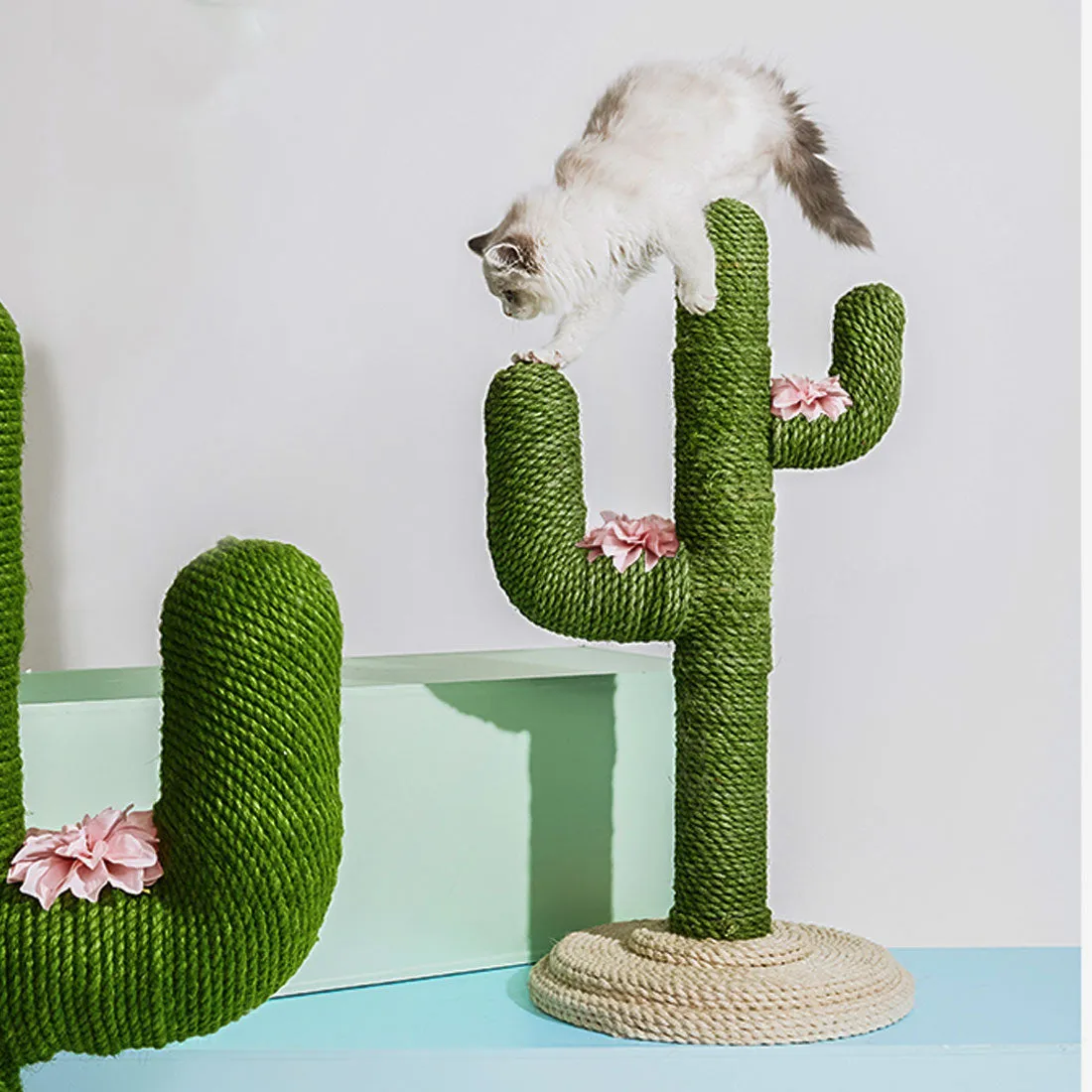Vetreska Cat Kitten Oasis Cactus Scratcher Tree Cat Climbing Scratching Board Gym